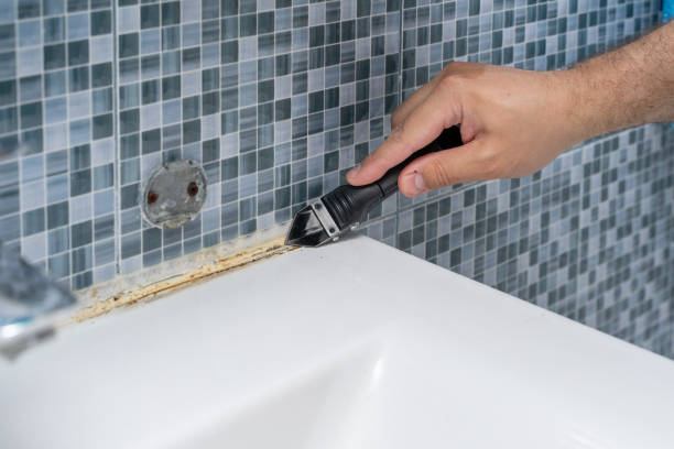 Best Fast Mold Removal  in La Joya, TX